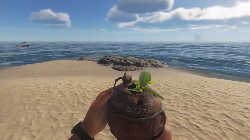 Coconut Flask
