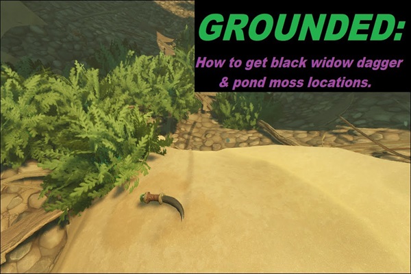 Get Pond Moss in Grounded